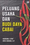 Peluang Usaha dan Budidaya Cabai