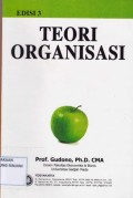 Teori Organisasi Edisi 3