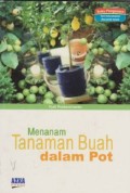 Menanam Tanaman Buah dalam Pot