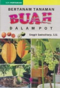 Bertanam Tanaman Buah dalam Pot