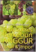 Cara Sukses Berkebun Anggur Lokal & Impor