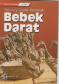 Peluang Usaha Beternak Bebek Darat