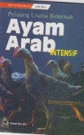 Peluang Usaha Beternak Ayam Arab Intensif