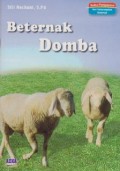 Beternak Domba