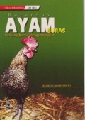 Beternak Ayam Buras: Peluang Bisnis Menguntungkan