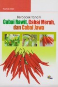 Bercocok Tanam Cabai Rawit, Cabai Merah, dan Cabai Jawa