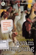 Berternak Ayam Kampung