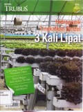 Hidroponik Tingkatkan Omzet 3 Kali Lipat