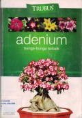 Adenium ; Bunga-bunga terbaik