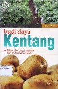 Budidaya Kentang: pilihan bebagai varietas dan pengadaan benih