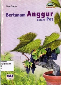 Bertanam Anggur Dalam Pot