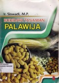 Budidaya Tanaman Palawija