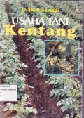 Usaha Tani Kentang