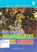 Cara Efektif Memberantas Tikus Sawah