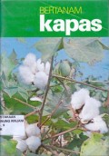 Bertanam Kapas