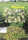 Bertanam kacang tanah