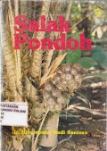 Salak Pondoh