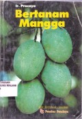 Bertanam Mangga