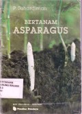 Bertanam Asparagus