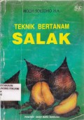 Teknik Bertanam Salak