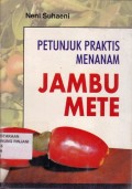 Petunjuk praktis menanam jambu mete