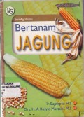 Bertanam Jagung