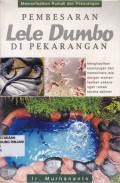 Pembesaran lele dumbo di pekarangan