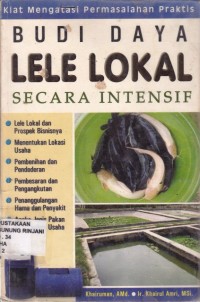 Budi Daya Lele lokal Secara Intensif