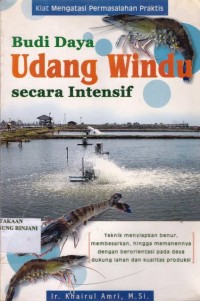 Budidaya Udang Windu secara Intensif