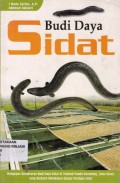 Budidaya Sidat