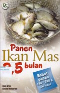 Panen Ikan Mas 2,5 bulan