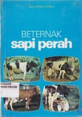 Beternak sapi Perah