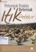 Petunjuk Praktis Beternak Itik Petelur