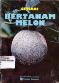 Bertanam Melon
