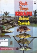 Budi daya kerapu dalam tambak