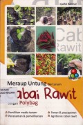 Meraup Untung Bertanam Cabai Rawit dengan Polybag
