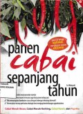 Panen Cabai Sepanjang Tahun